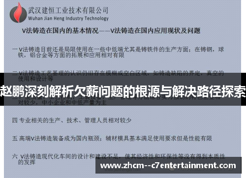 赵鹏深刻解析欠薪问题的根源与解决路径探索
