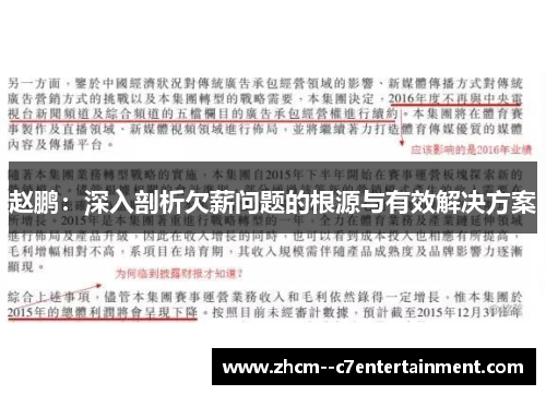 赵鹏：深入剖析欠薪问题的根源与有效解决方案
