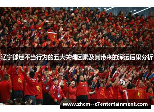 辽宁球迷不当行为的五大关键因素及其带来的深远后果分析